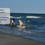 Haus Krabbe Zentral & Hundefreundlich, Ideal Fuer Paare Und Alleinreisende, Zwischen Bremerhaven Und Cuxhaven Lägenhet Wremen
