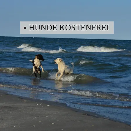Haus Krabbe Apartments, Zentral Gelegen Zwischen Bremerhaven Und Cuxhaven, Hunde Kostenfrei Willkommen, Hauseigene Kostenfreie Parkplätze, Unterstellmöglichkeit Für Fahrräder Und E-bikes Apartment Wremen