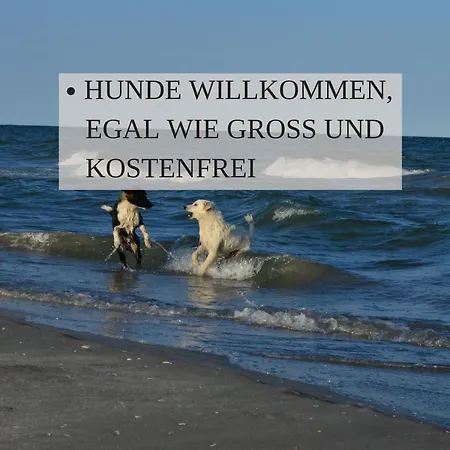 Ferienwohnungen Haus Krabbe Zentral & Hundefreundlich, Ideal Fuer Paare Und Alleinreisende, Zwischen Bremerhaven Und Cuxhaven *