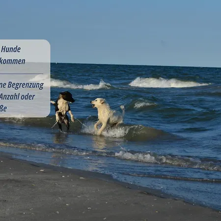 Haus Krabbe Zentral & Hundefreundlich, Ideal Fuer Paare Und Alleinreisende, Zwischen Bremerhaven Und Cuxhaven Lejlighed Wremen