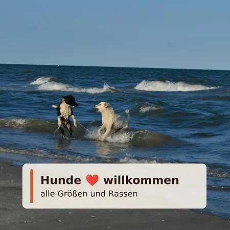 Ferienwohnungen Haus Krabbe Zentral Im Ort & Hundefreundlich, Paare, Alleinreisende Und Geocaching Zwischen Bremerhaven Und Cuxhaven *