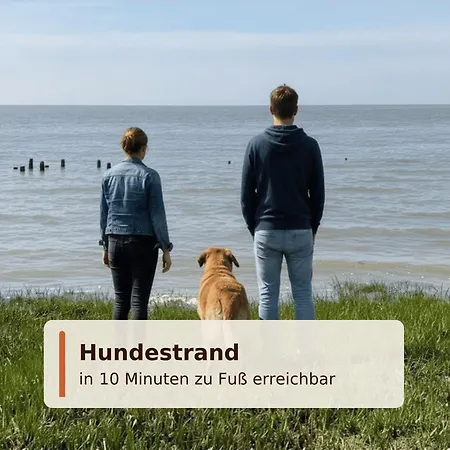Ferienwohnungen Haus Krabbe Zentral Im Ort & Hundefreundlich, Paare, Alleinreisende Und Geocaching Zwischen Bremerhaven Und Cuxhaven Апартаменты Времен
